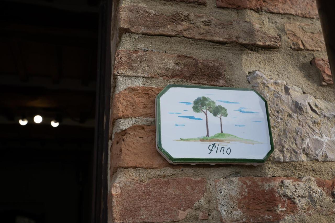 Podere Fossaccio Casa Pino Asciano Dış mekan fotoğraf