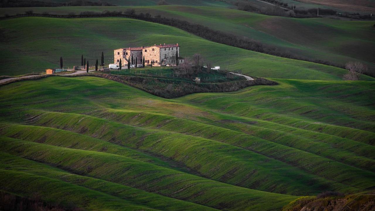 Podere Fossaccio Casa Pino Asciano Dış mekan fotoğraf