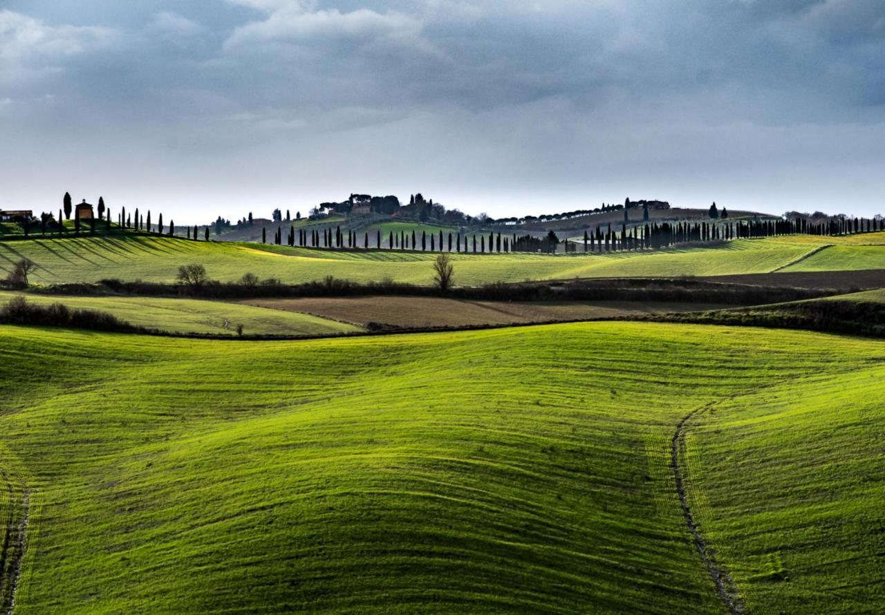 Podere Fossaccio Casa Pino Asciano Dış mekan fotoğraf