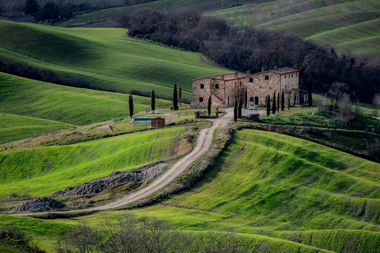 Podere Fossaccio Casa Pino Asciano Dış mekan fotoğraf
