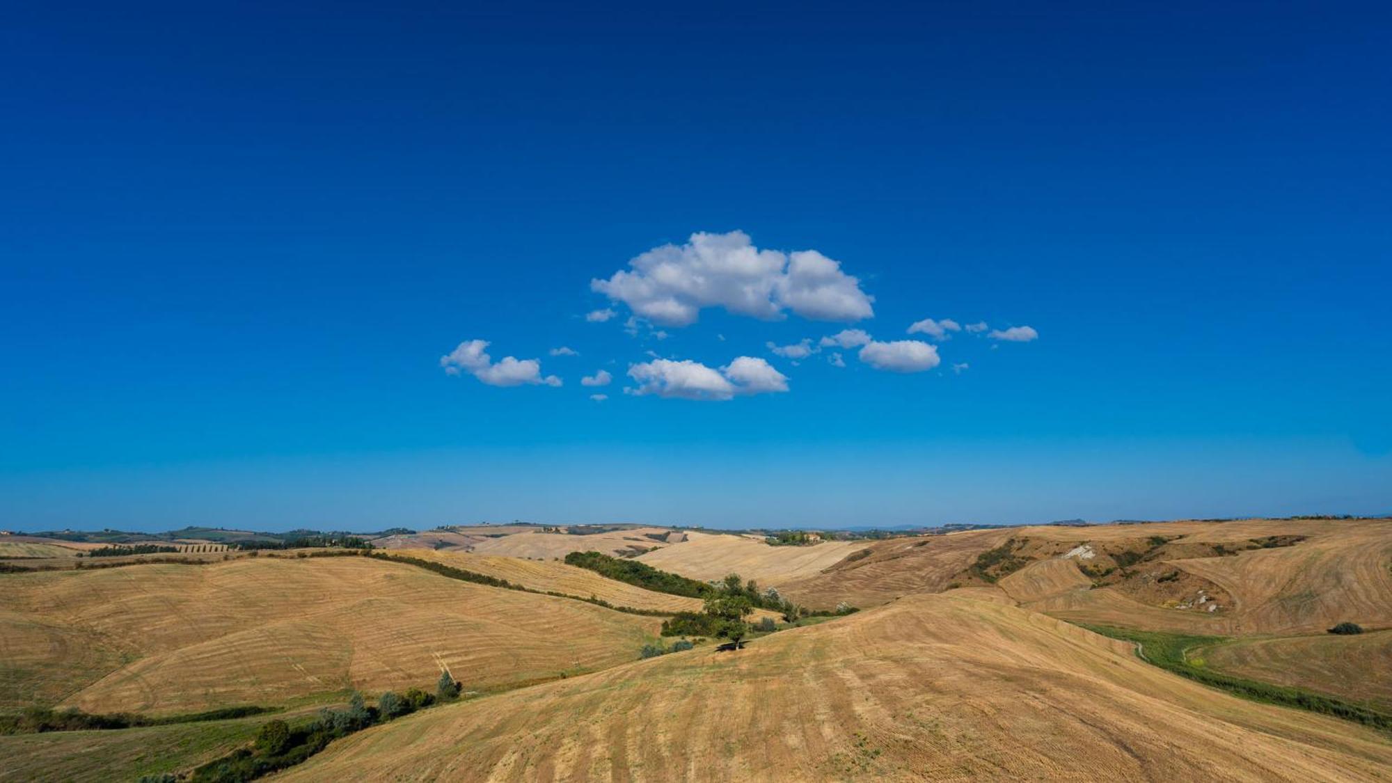 Podere Fossaccio Casa Pino Asciano Dış mekan fotoğraf