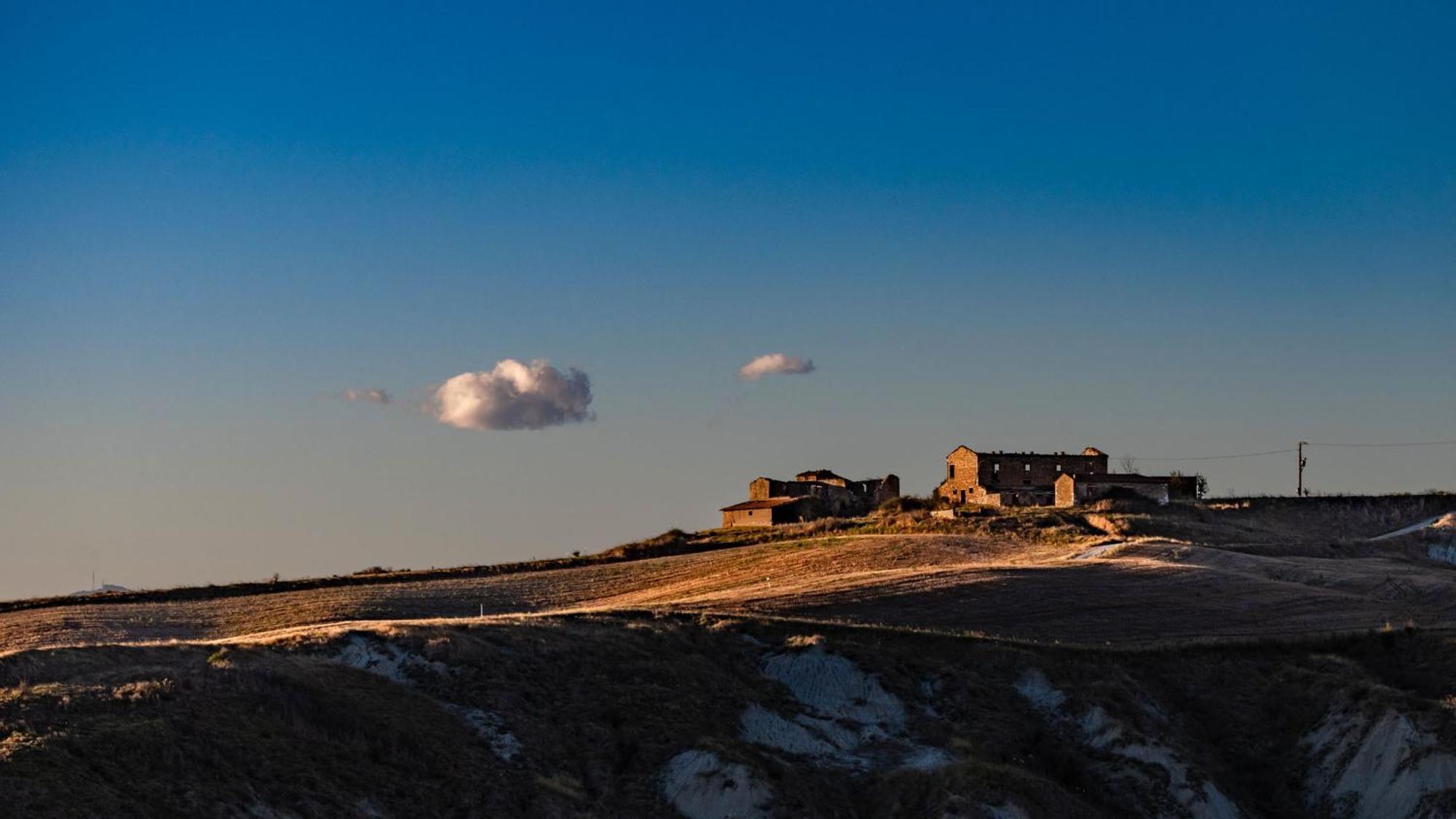 Podere Fossaccio Casa Pino Asciano Dış mekan fotoğraf