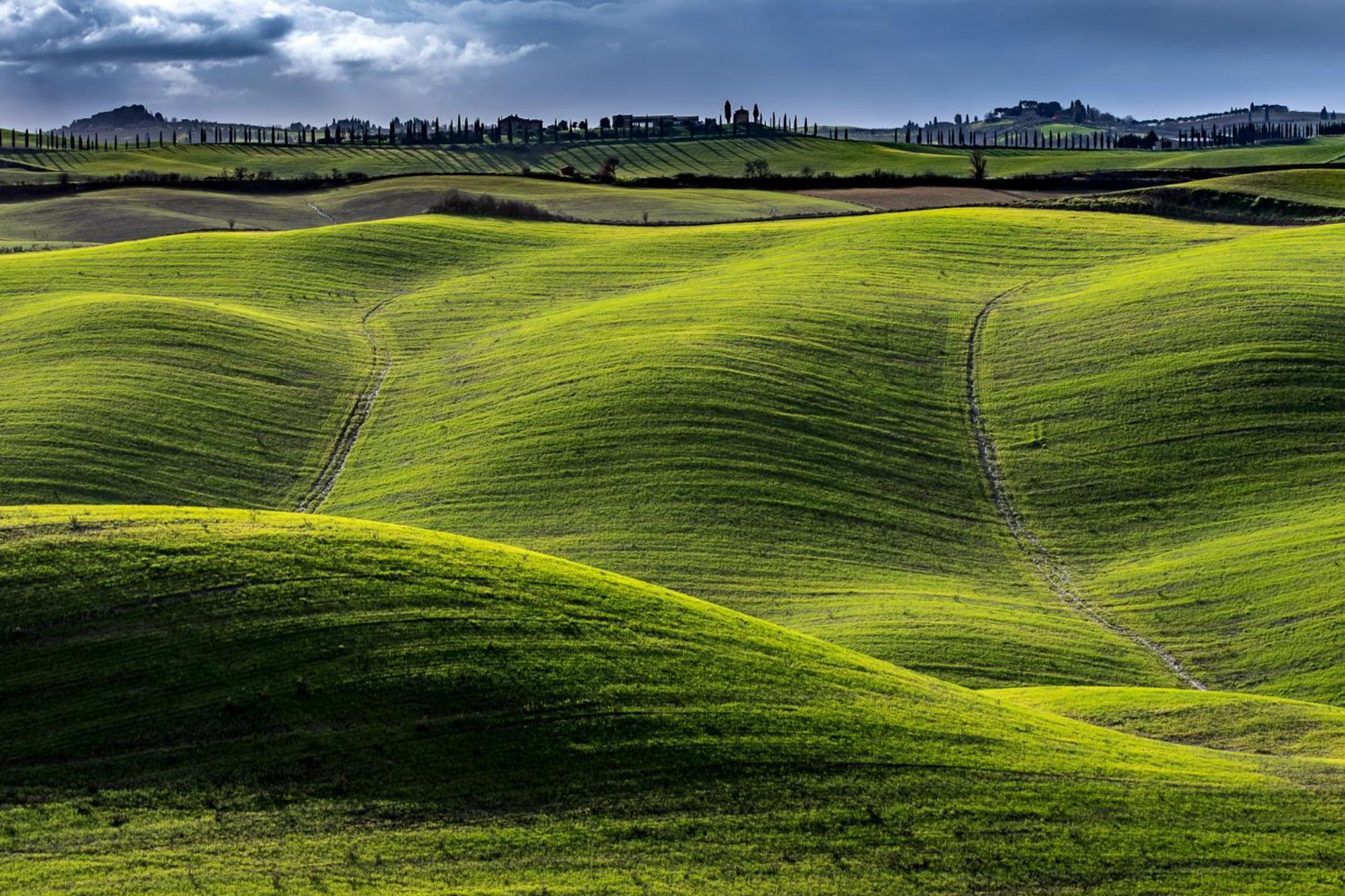 Podere Fossaccio Casa Pino Asciano Dış mekan fotoğraf