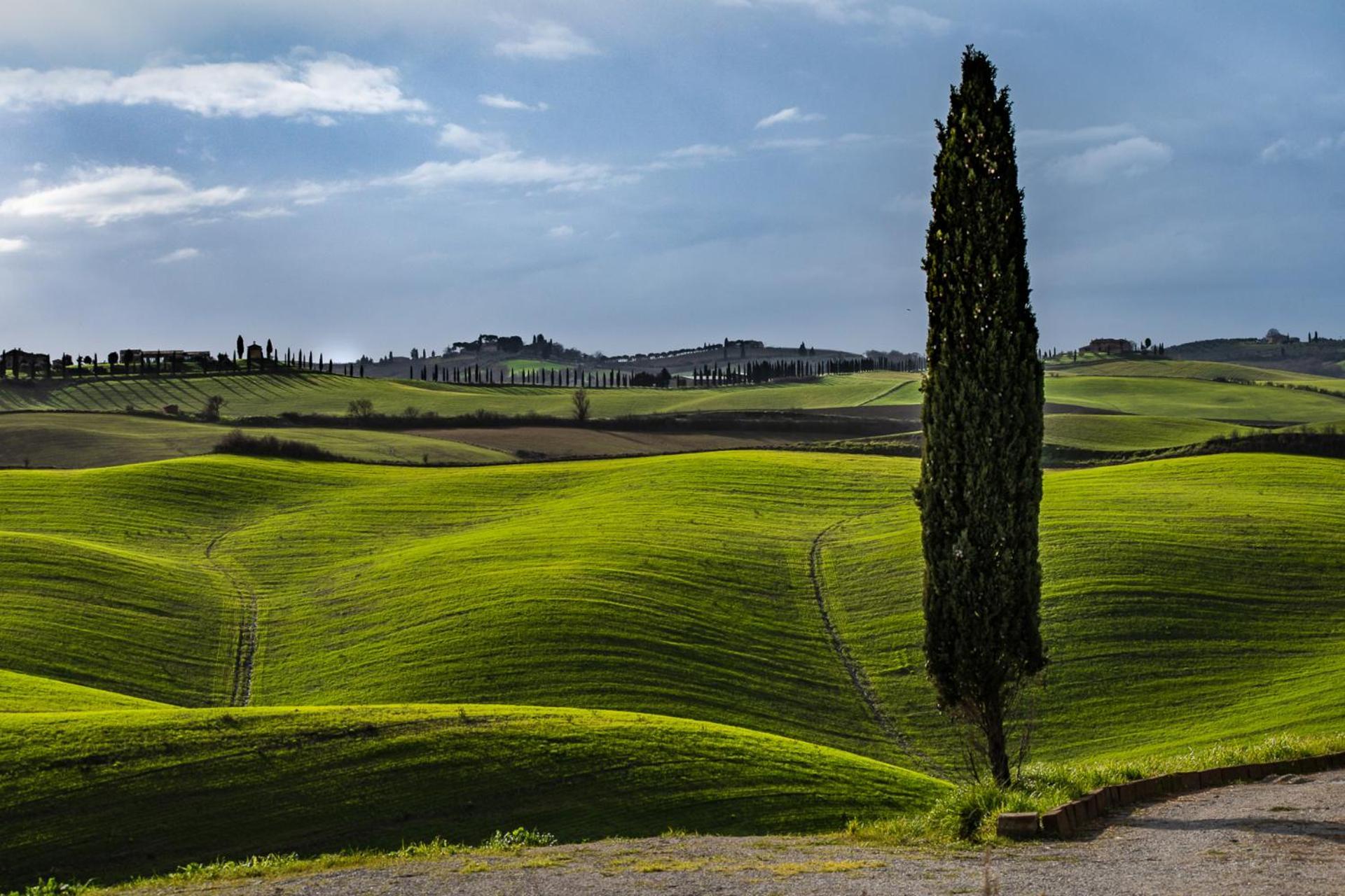 Podere Fossaccio Casa Pino Asciano Dış mekan fotoğraf